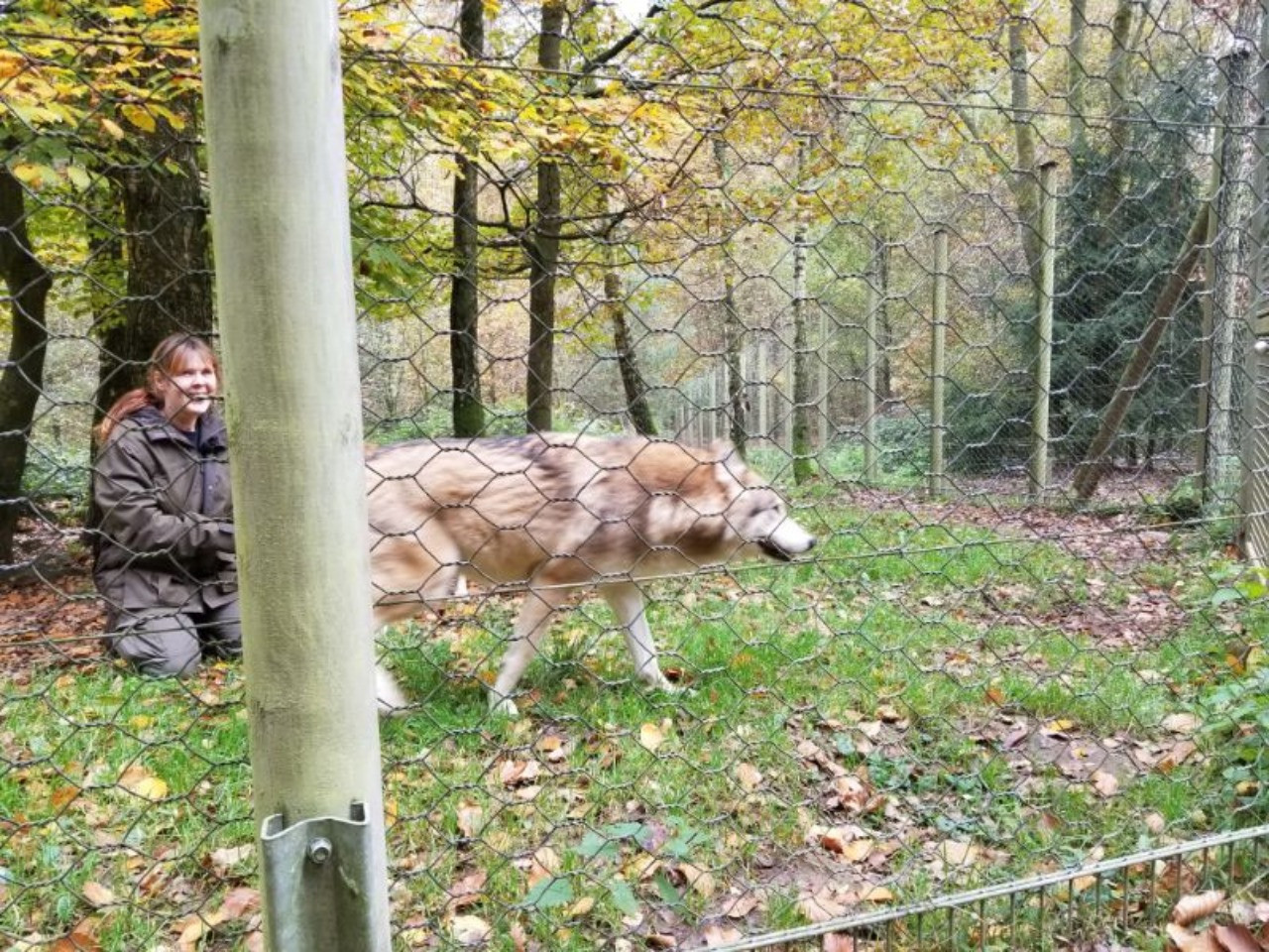 サポーター会員募集